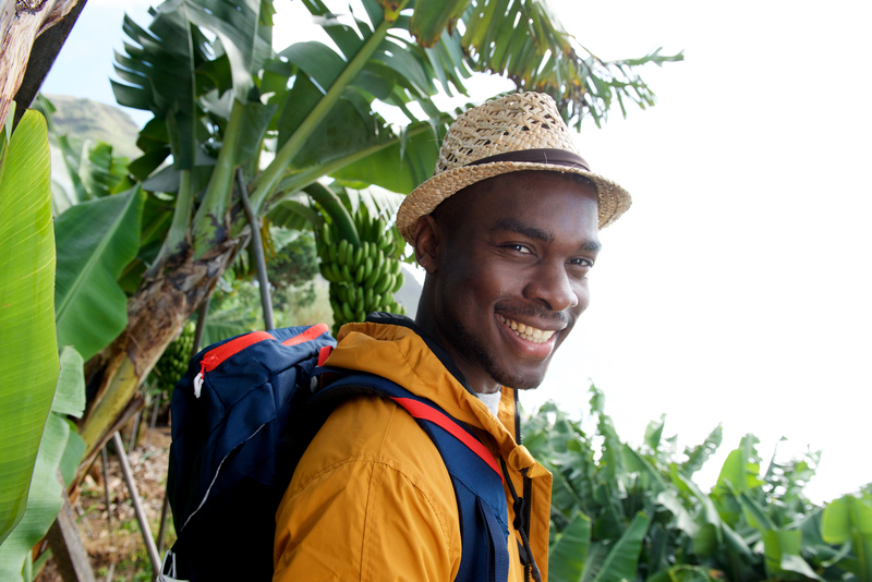 How does yellow fever spread?