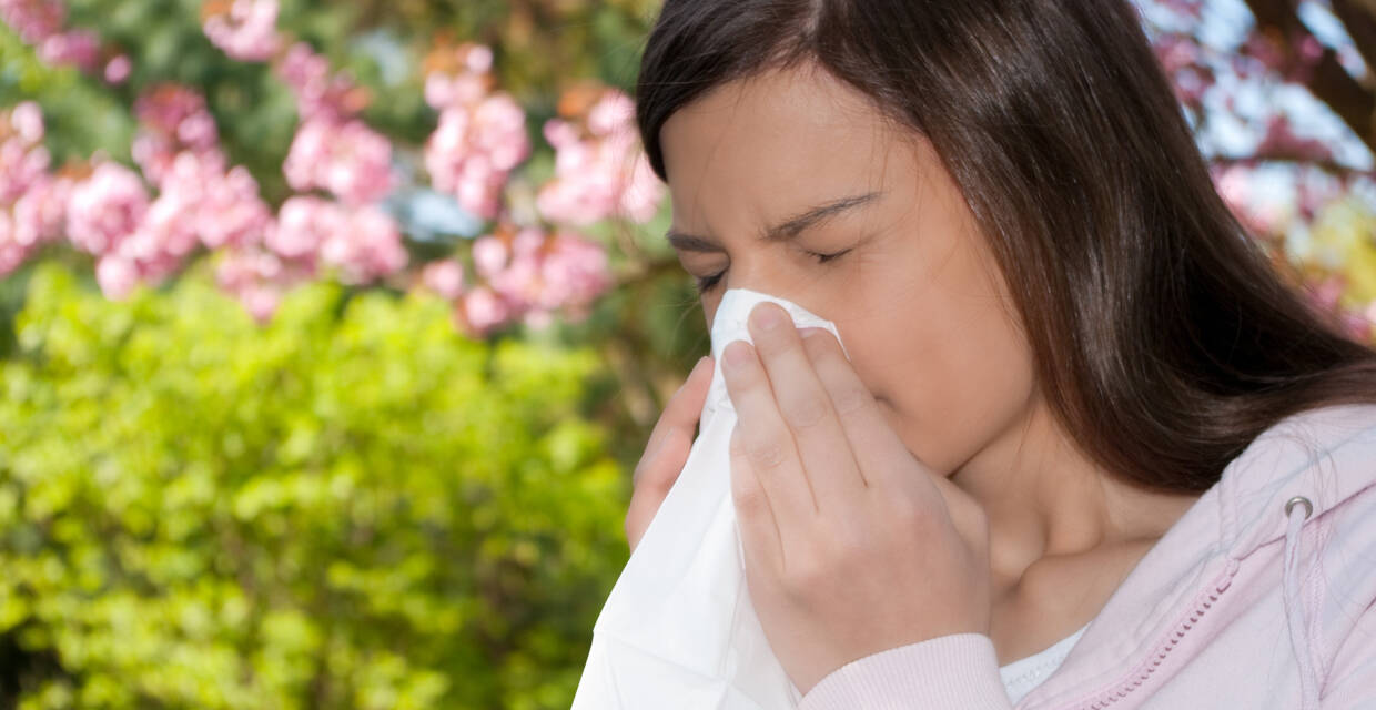 5 Summertime Allergies to Watch Out For