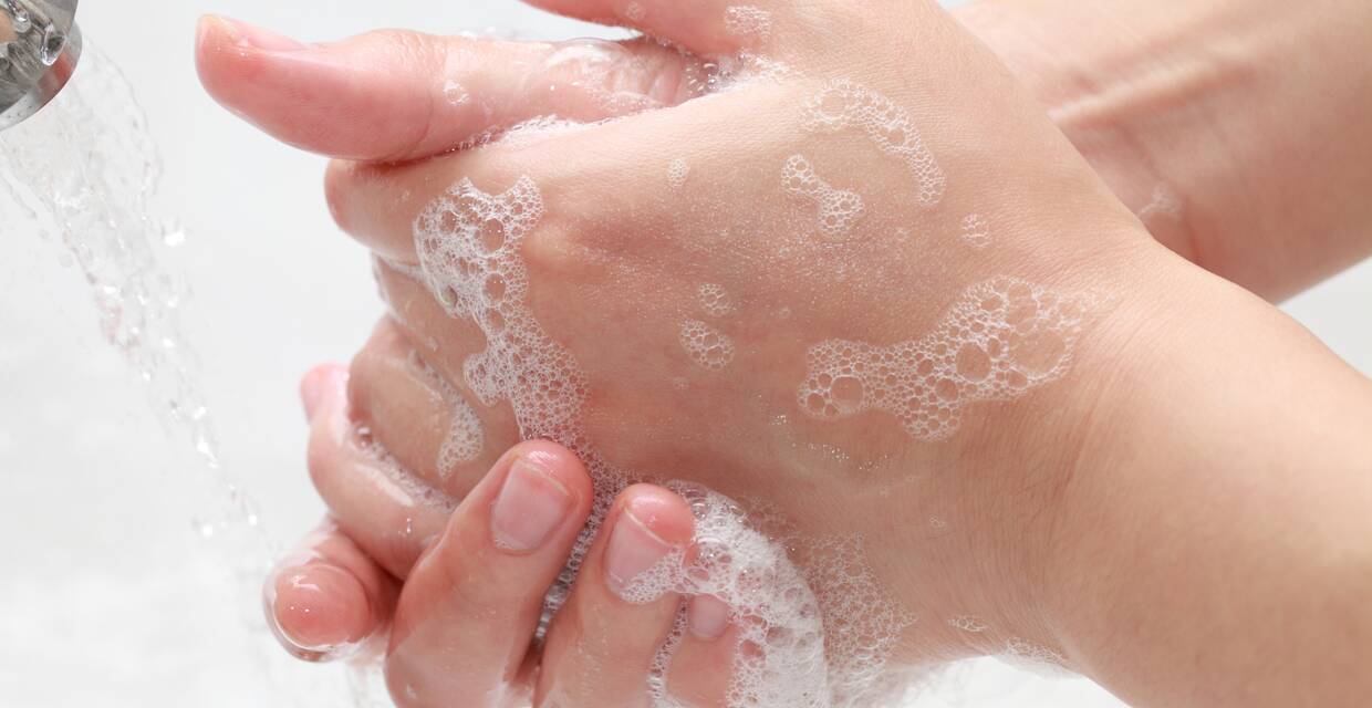 Top 5 Germs that Love Your Hands and What to do With Them