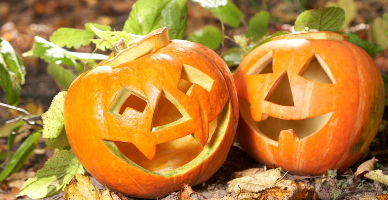 Pumpkin Carving Safety Tips That Will Keep Injury Free
