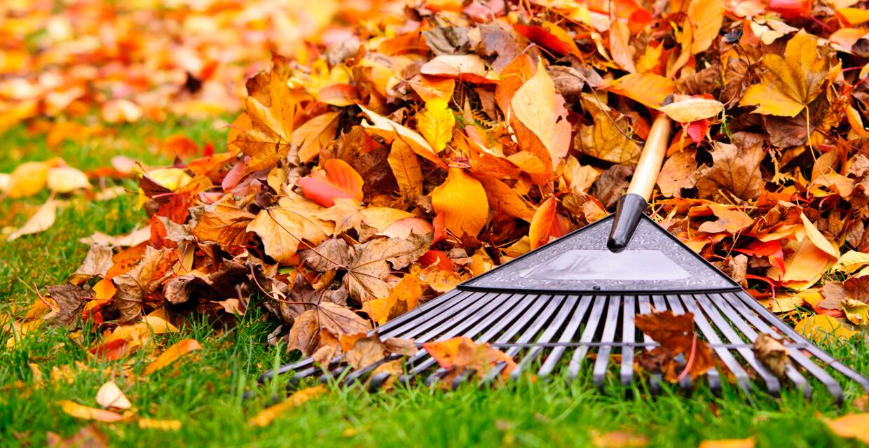 4 Ways to Stay Safe for Fall Yard Work