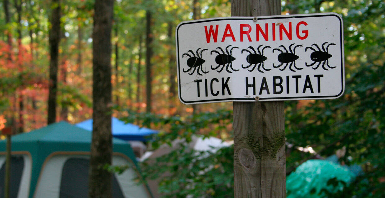 Lyme Disease: What is It and How Do You Prevent it?