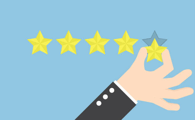 Navigating the Realm of Online Reviews