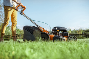 Grass Allergy Test: Identifying symptoms & exploring treatment options